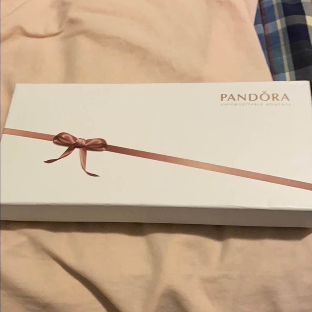 PANDORA CASE HOLDER - Picture 7 of 7